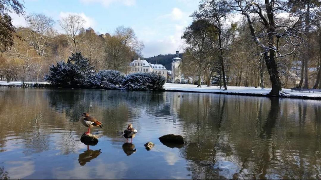 Hotel Gastehaus Am Schloss Sayn Bendorf Exteriér fotografie